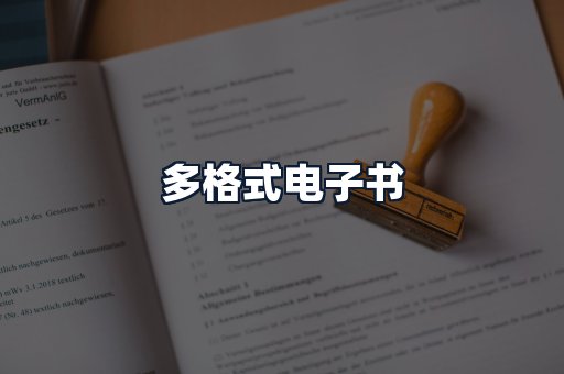 多格式电子书